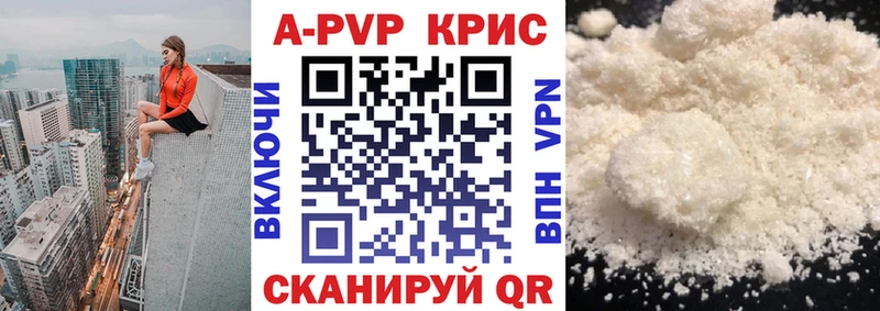 Альфа ПВП СК  Кинешма 