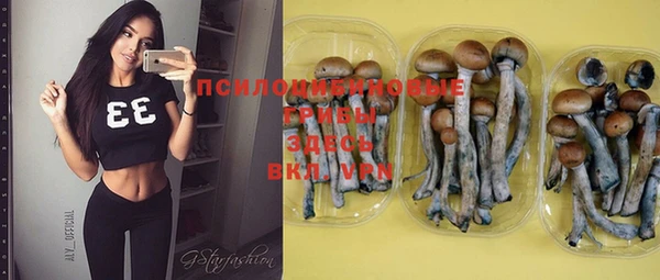 дживик Абдулино