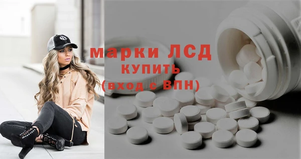 прущие грибы Абаза