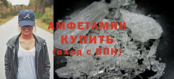 прущие грибы Абаза