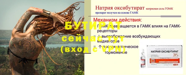 прущие грибы Абаза