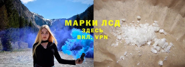 прущие грибы Абаза