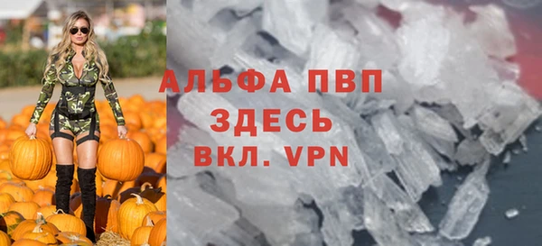 прущие грибы Абаза